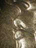 bd76_0.jpg