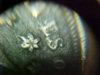 MVC-021S.JPG