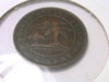 DSCN0955.JPG