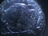 Buffalo Nickel.jpg