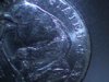 Buffalo Nickel1.jpg