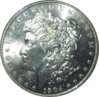 1904 O USA Morgan Dollar MS64 Obv.JPG