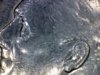 1991 P dime 1.jpg