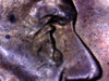 2006b.jpg