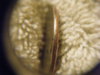 DSCF7419.JPG