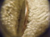 DSCF7421.JPG