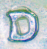 1952 rpm copy.jpg