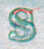Trumpet tail S copy.jpg