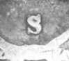 close-up inverted.jpg