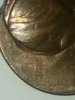 magnifying_2014-06-23_13-02-44.jpg