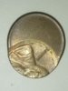 magnifying_2014-06-23_12-57-04.jpg