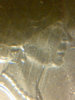 IMG-20140621-11803.jpg