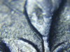 1968 D Quarter 012.jpg