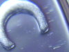 2007 PR Washinton 25c DDO 005.jpg