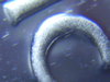 2007 PR Washinton 25c DDO 004.jpg