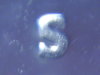 2007 PR Washinton 25c DDO 006.jpg