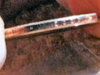 dolerr12.jpg