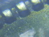 1921 MS 66 MORGAN 004.jpg