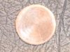 blank back of coin 2b.JPG