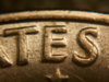 DSCN0497.JPG