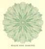 Black line rosette.jpg