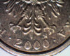 20001.jpg