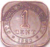 verdi-care test 1.jpg