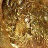 Lincoln_1921-P_OBV_damage.jpg