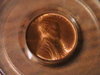 IMGA0099.JPG