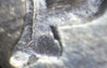 DDMMBOTTOMPCLOSE_edited-2.jpg