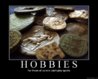 hobbies.jpg