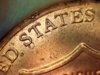 2013 Penny 3.jpg