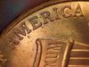 2013 Penny 7.jpg