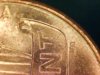 2013 Penny 13.jpg