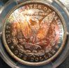 1880 O Morgan Back.JPG