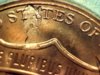 2014 penny 5.jpg