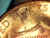 2014 penny 8.jpg