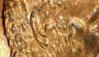 1997 Penny 25.jpg