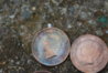 DSC_0349.JPG