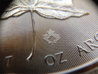 2014 maple mag.jpg