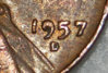 penny05.jpg