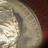 2001 PF nickel error 004.jpg