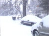 snow.jpg