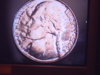 Picture 7.jpg