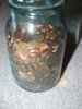 DSCF7875.JPG