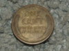 DSCF7815.JPG