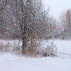 White Xmas.jpg