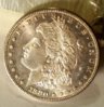1880 morgan obv.jpg