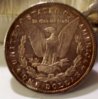 1880 morgan rev.jpg
