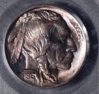 1913T1NickelPCGS ms 67 1.3.jpg1.jpg